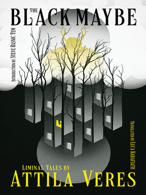The Black Maybe - ebook
